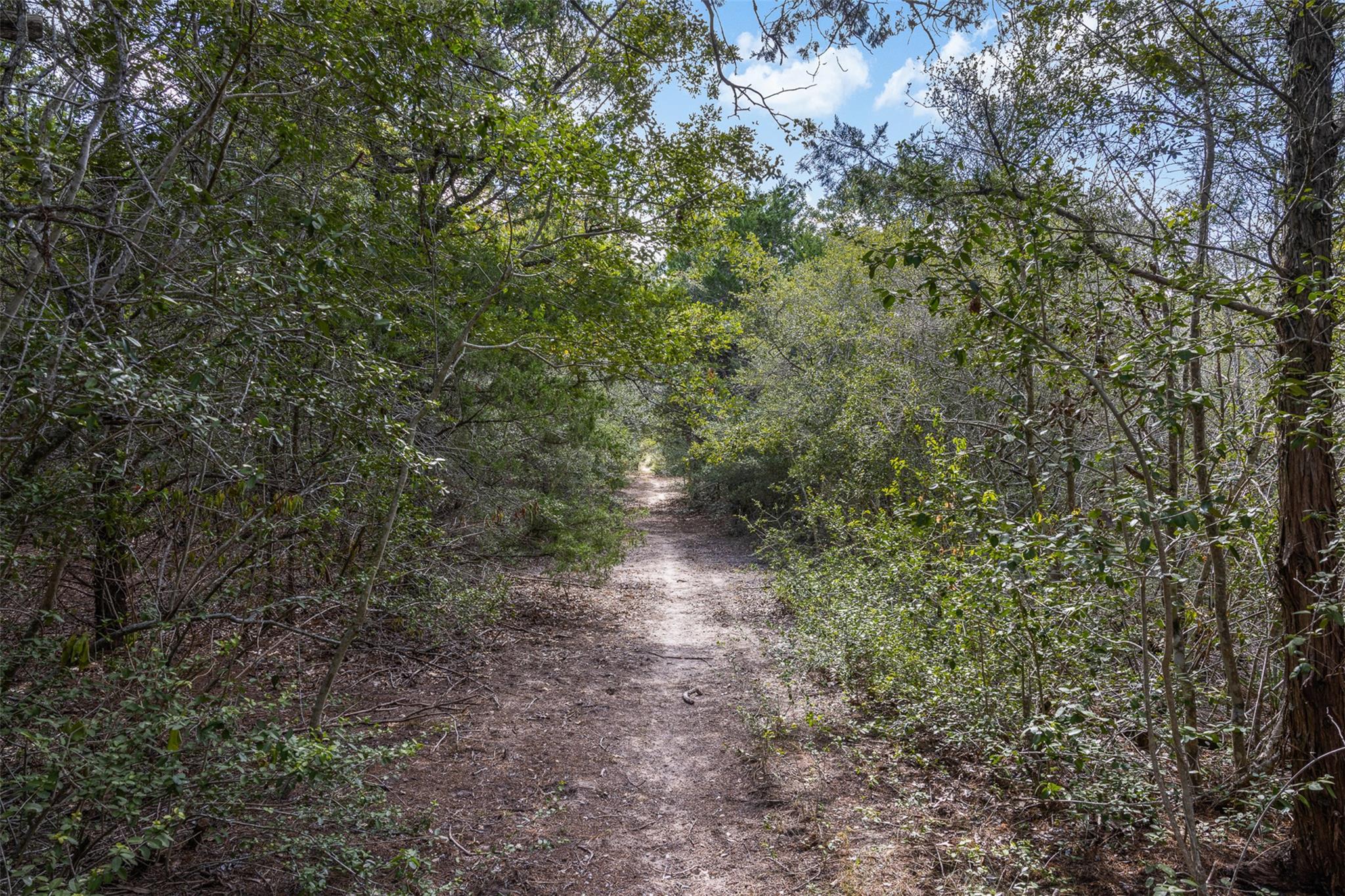 2135 Mule Creek Road Harwood TX 78632