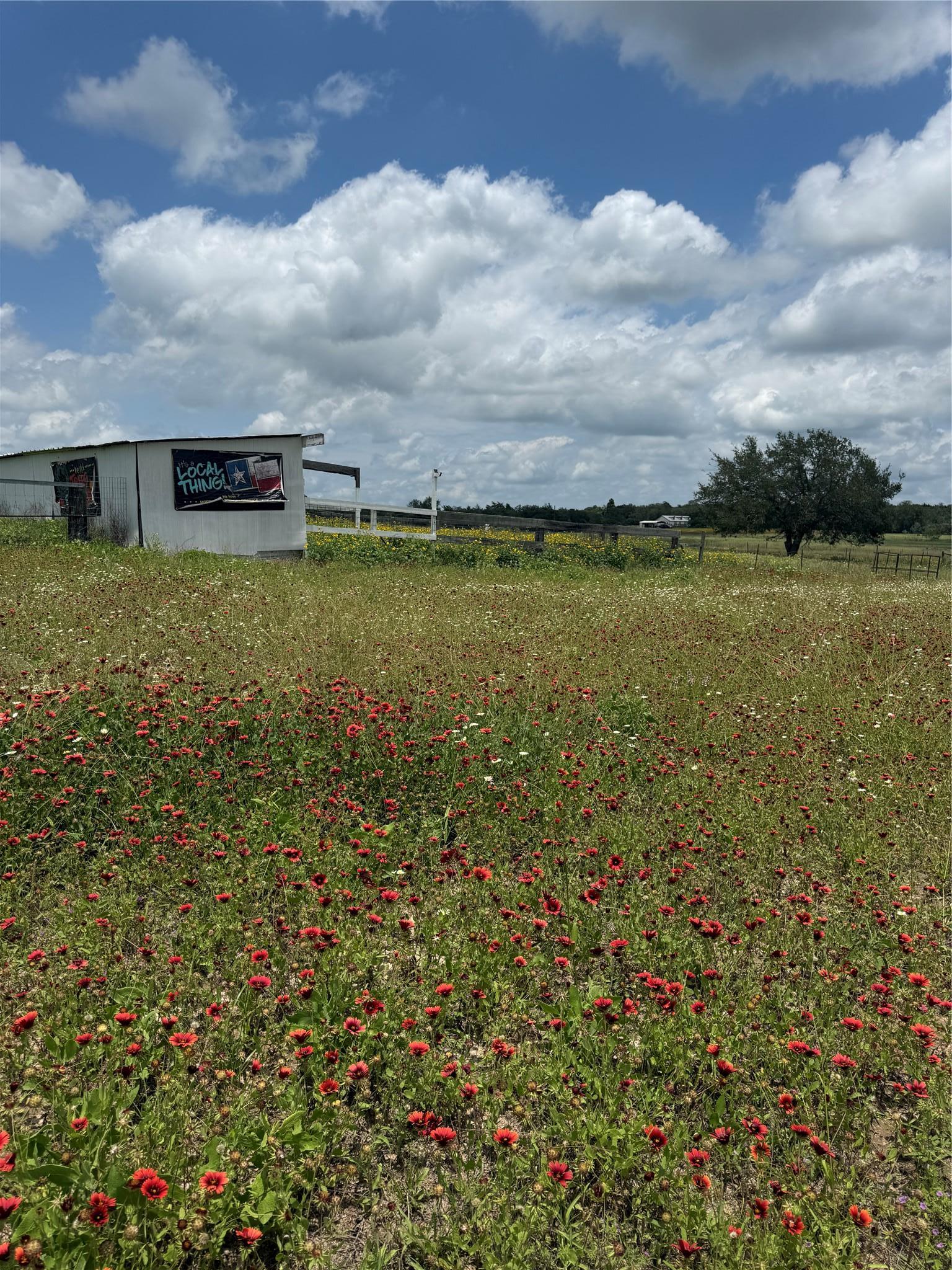 2135 Mule Creek Road Harwood TX 78632