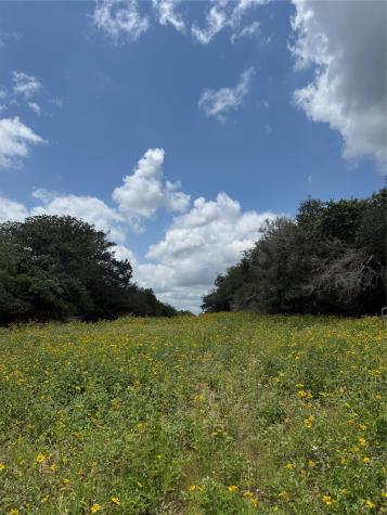 2135 Mule Creek Road Harwood TX 78632