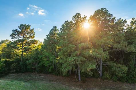 Tbd County Road 3411 Chandler TX 75758