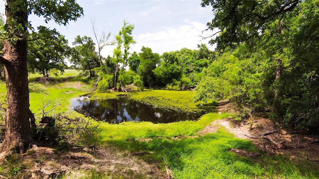 269 Balch Road Elgin TX 78621