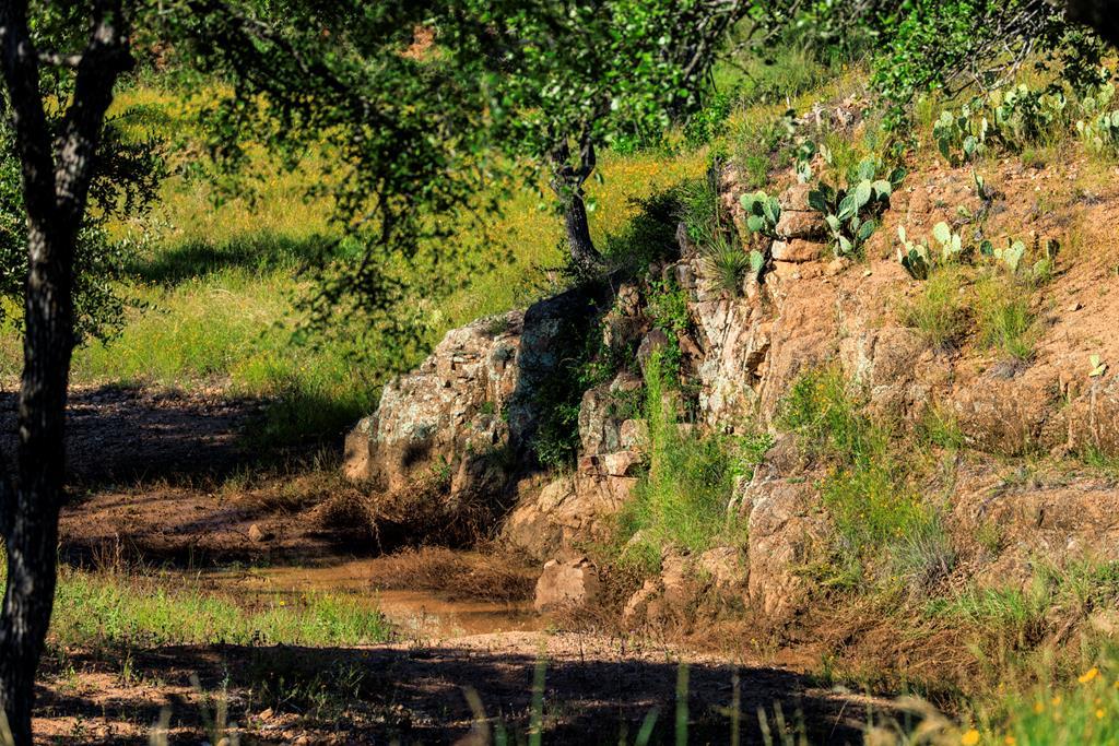 3736-6 County Road 113 Llano TX 78643