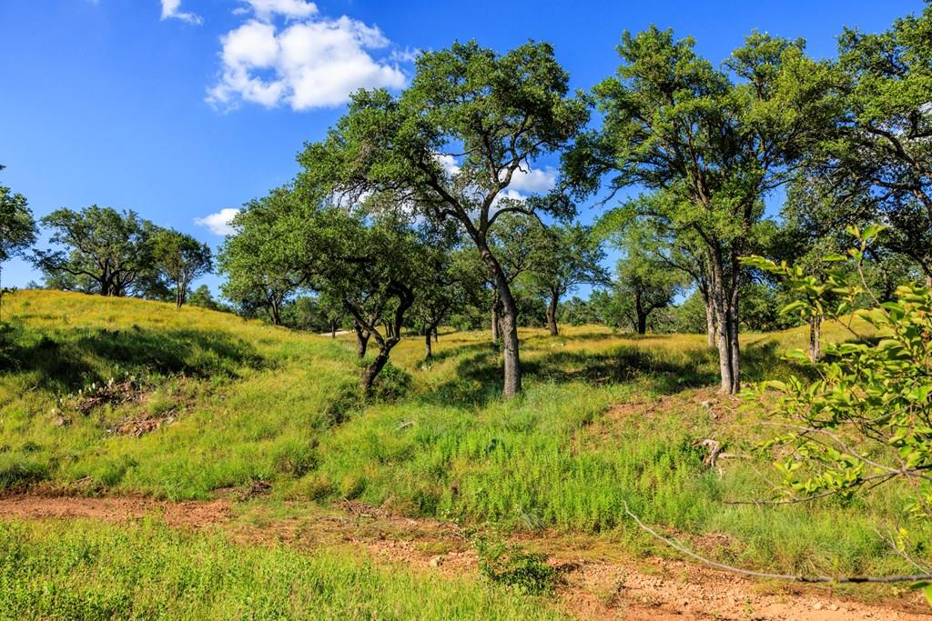 3736-6 County Road 113 Llano TX 78643