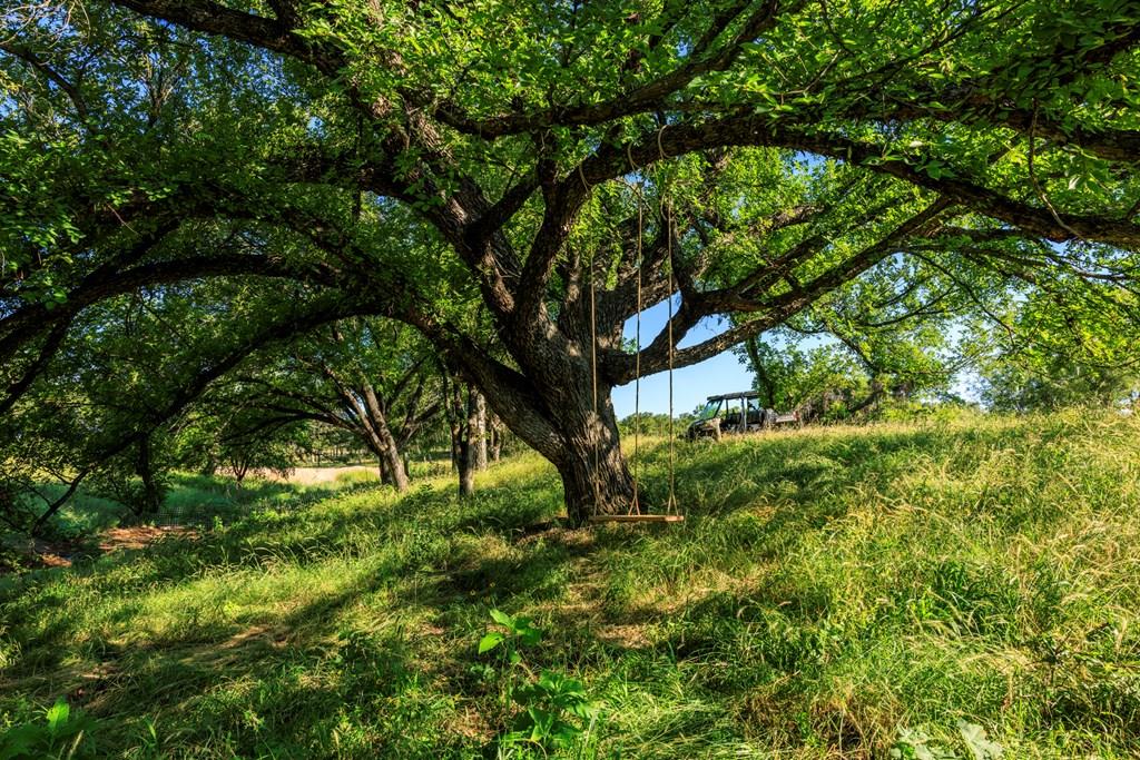 3736-6 County Road 113 Llano TX 78643