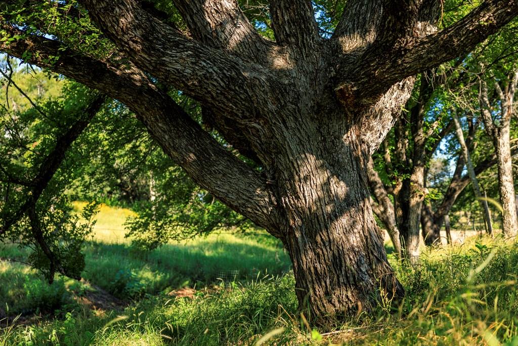 3736-6 County Road 113 Llano TX 78643