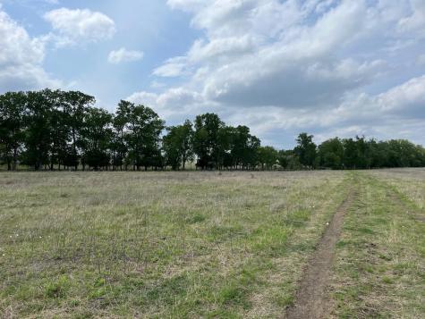 000 County Road 269 Oglesby TX 76561