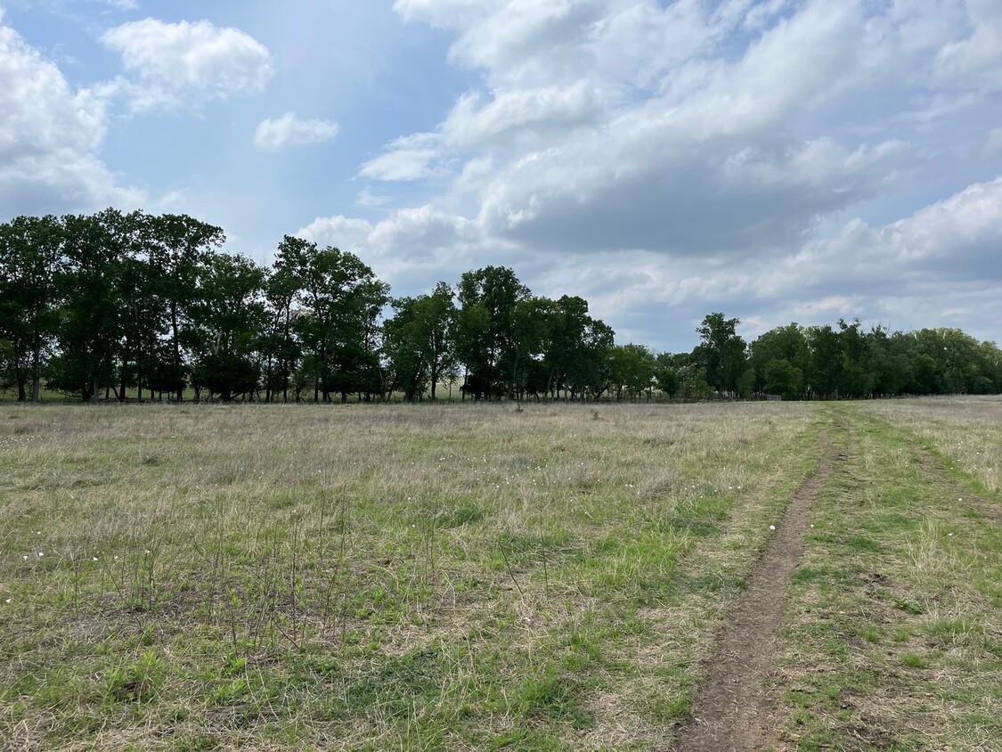 000 County Road 269 Oglesby TX 76561