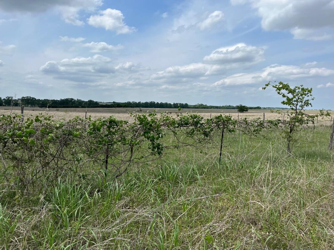 000 County Road 269 Oglesby TX 76561