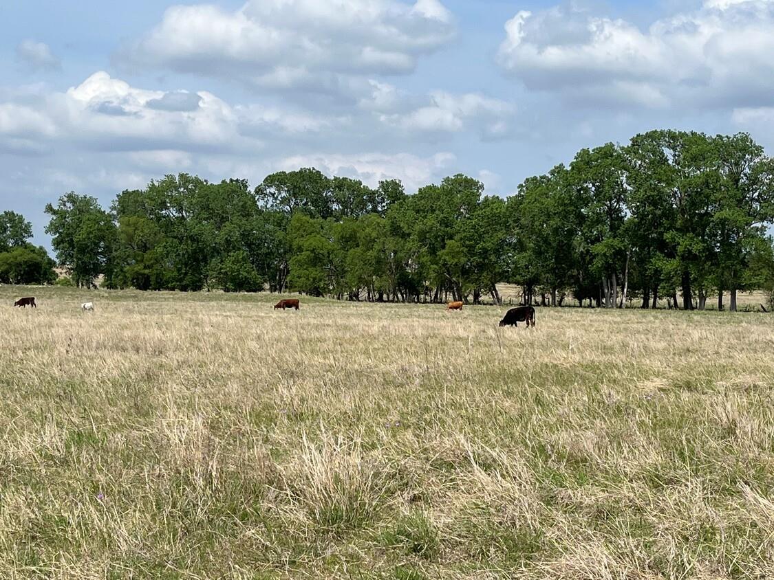 000 County Road 269 Oglesby TX 76561