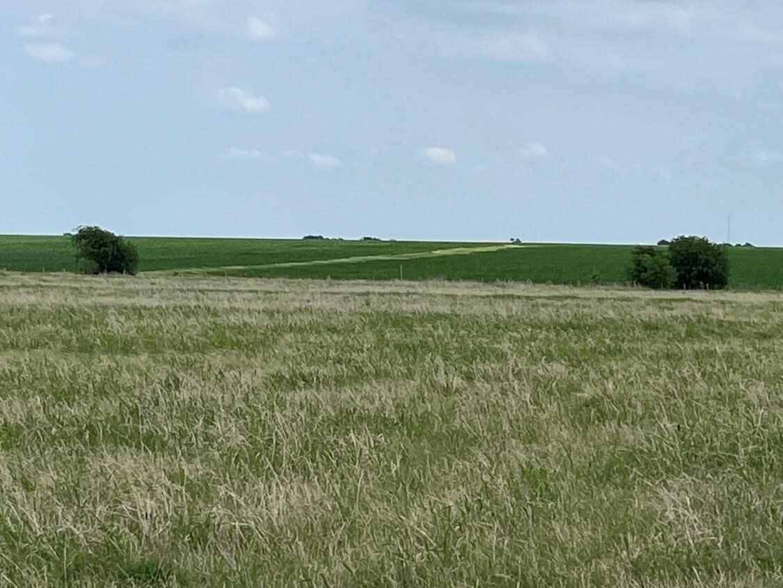 000 County Road 269 Oglesby TX 76561