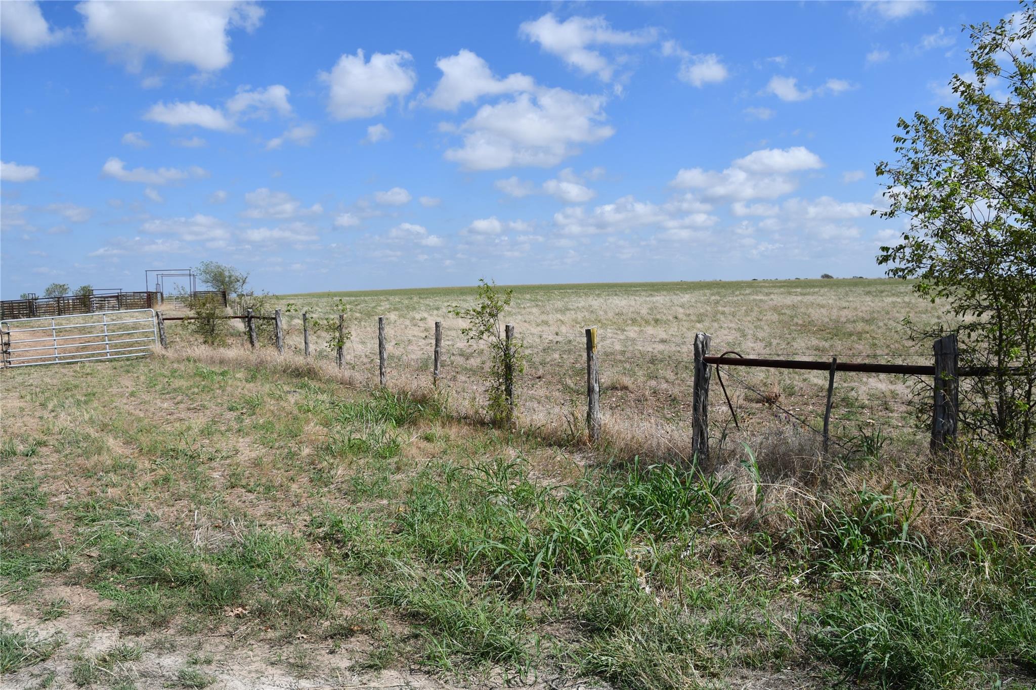 000 County Road 269 Oglesby TX 76561