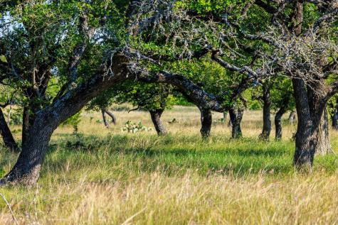 481 Living Water Ranch Road Harper TX 78631