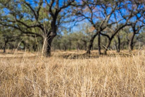 4772-1 County Road 340 Burnet TX 78611
