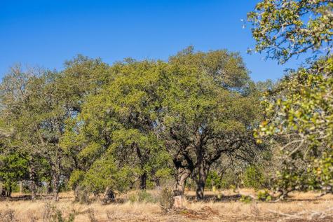 4772-1 County Road 340 Burnet TX 78611
