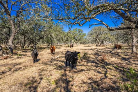 4772-1 County Road 340 Burnet TX 78611