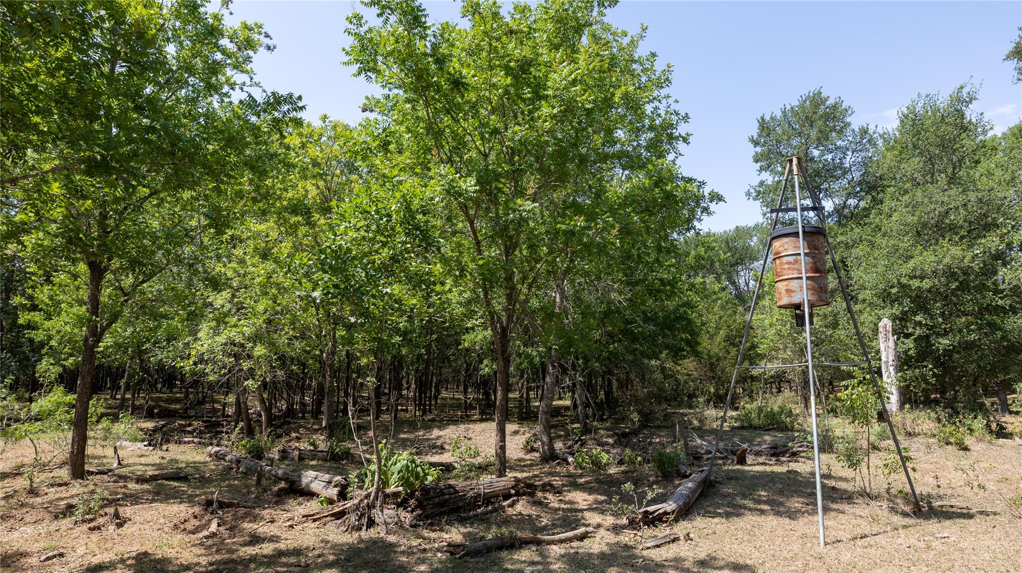 1400 Seminole Trail Dale TX 78616