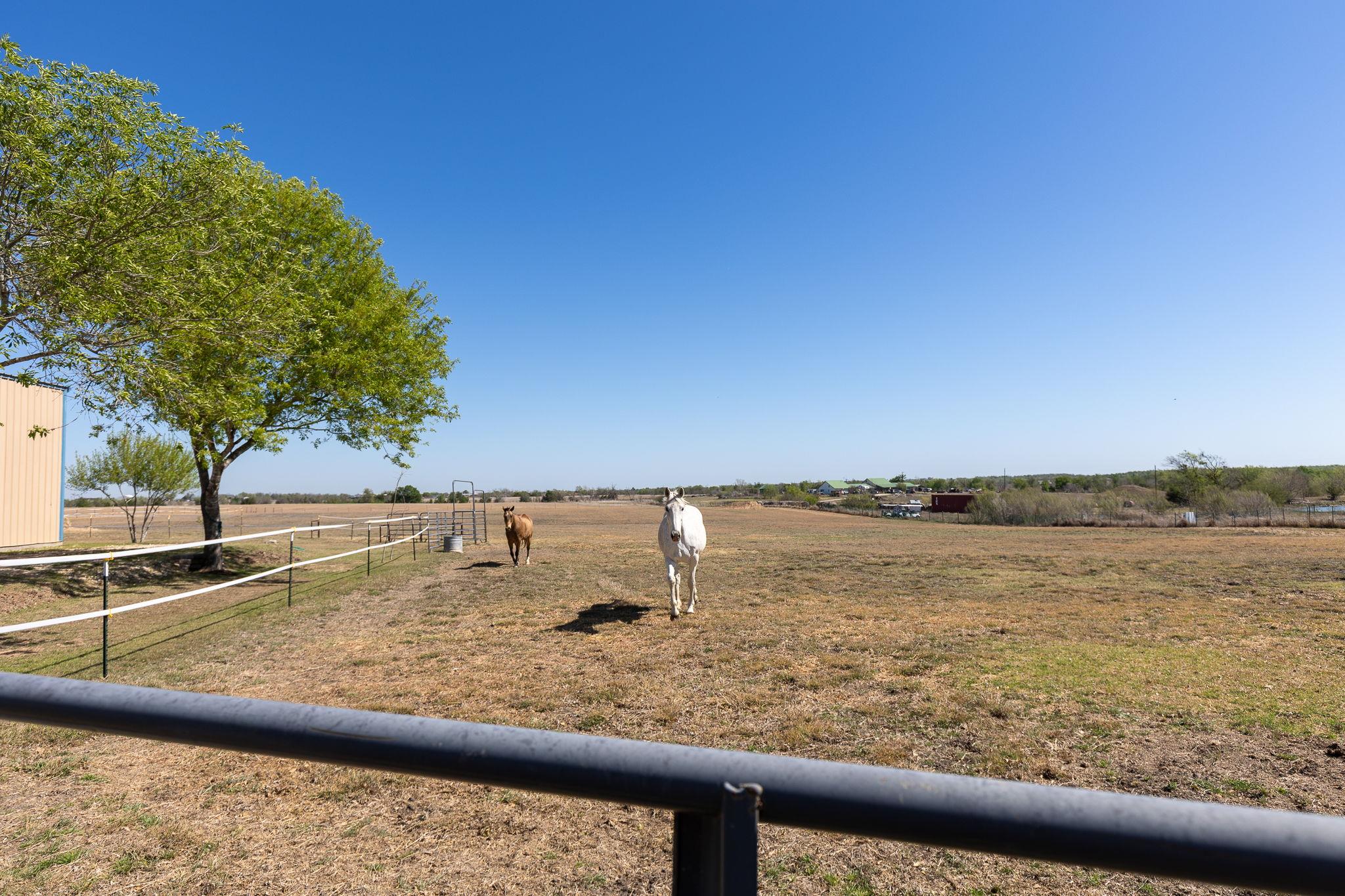 13639 Abrahamson Road Manor TX 78653