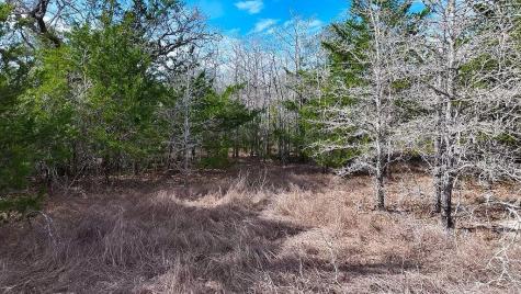 Tbd Wetjen Lane West Point TX 78963