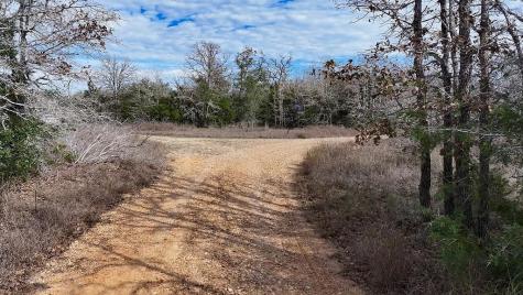 Tbd Wetjen Lane West Point TX 78963