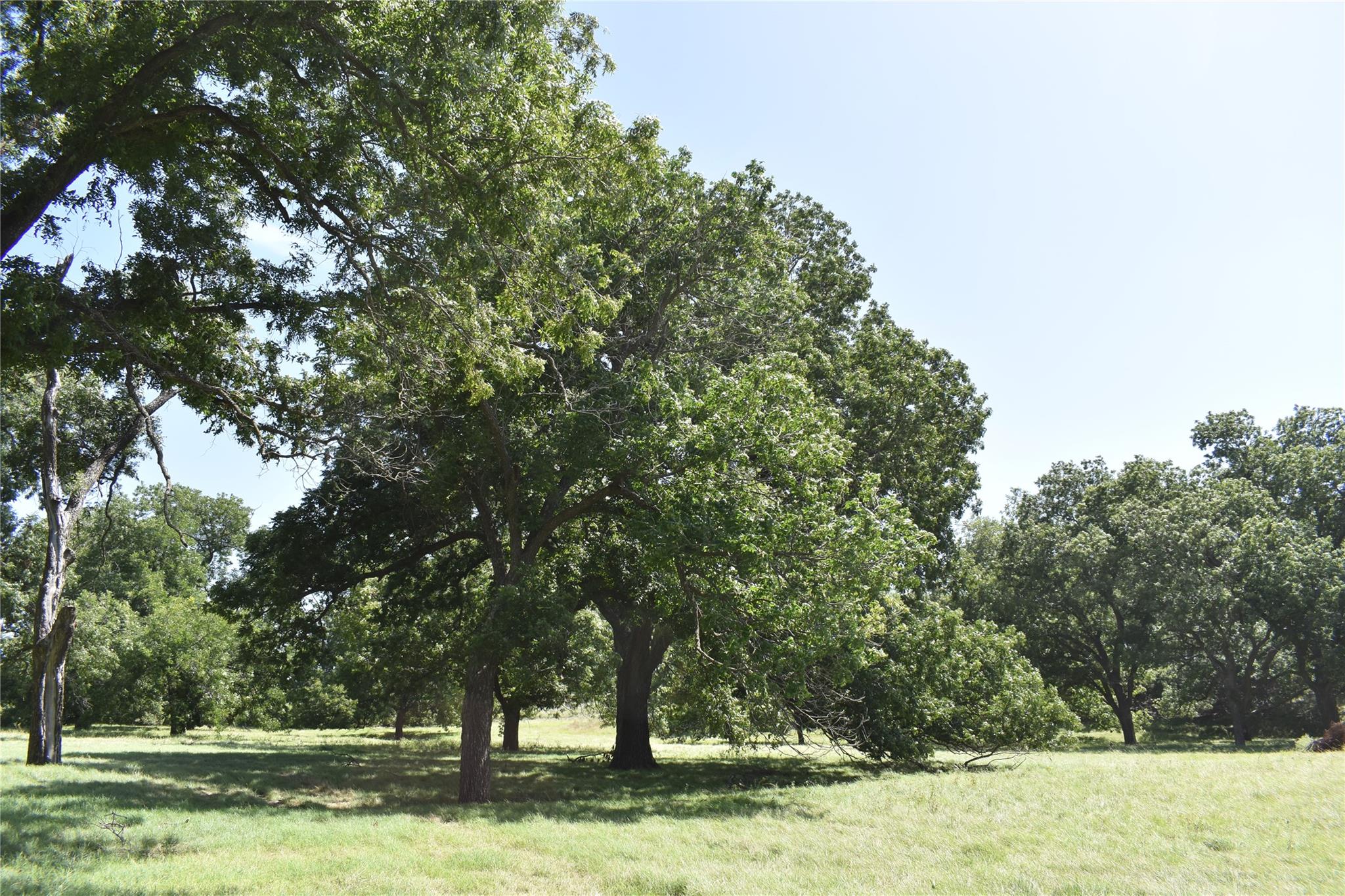 Tbd County Road 621 Hamilton TX 76531