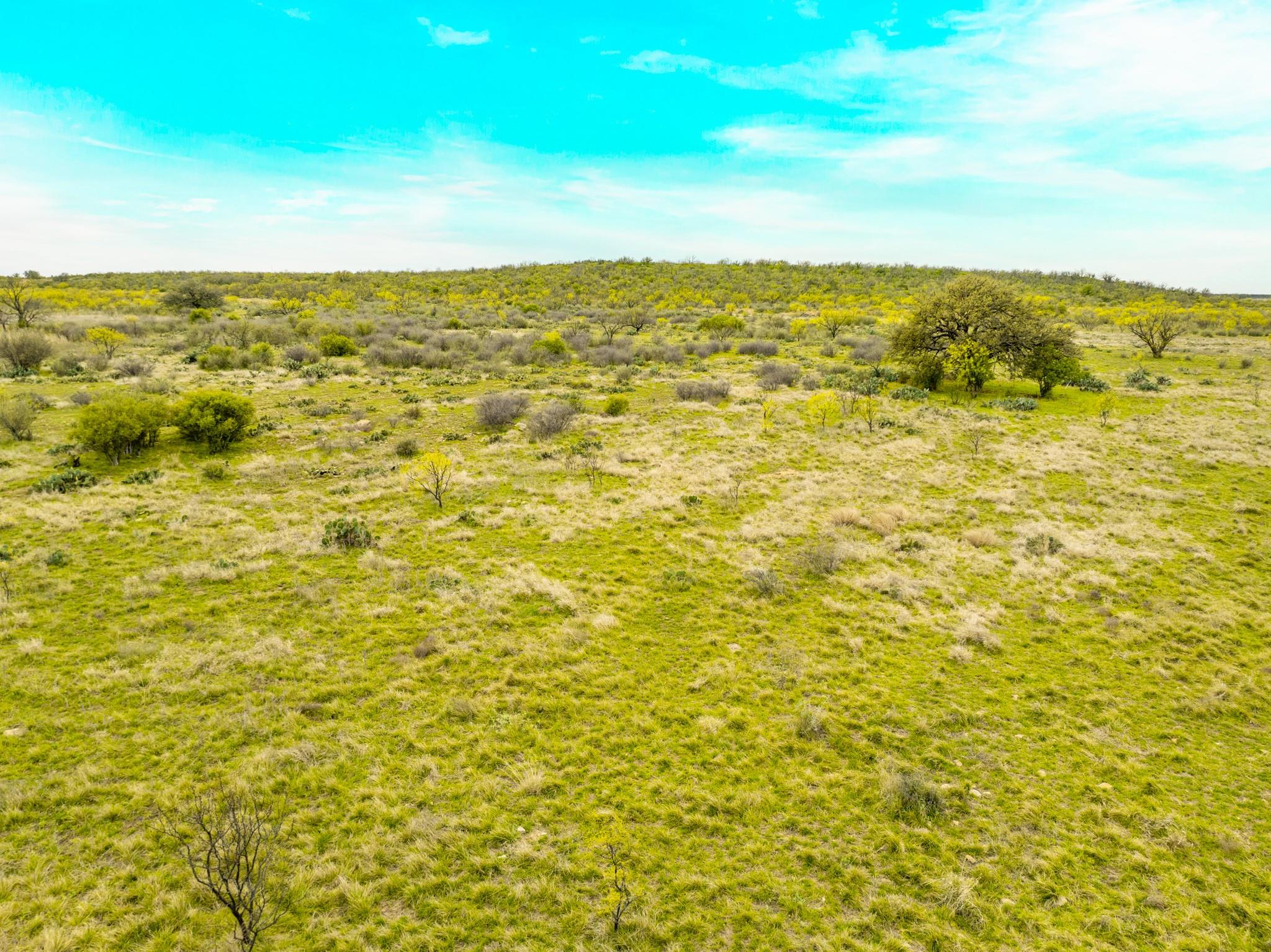 117 Private Road 541 Brady TX 76852