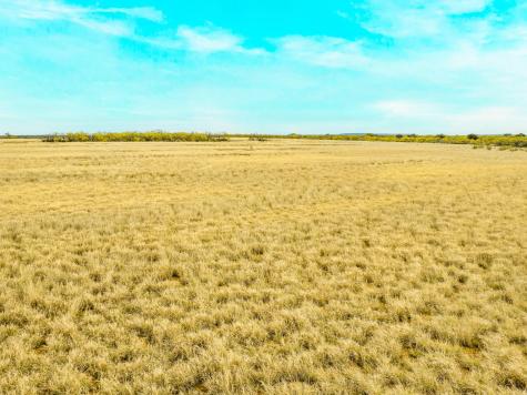 117 Private Road 541 Brady TX 76852