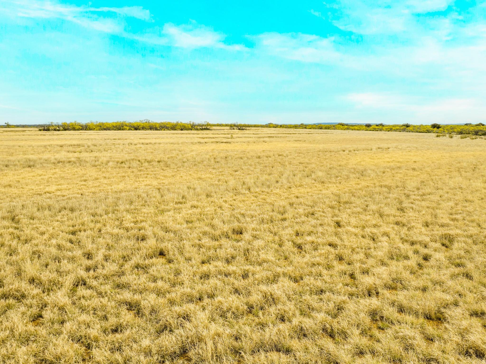 117 Private Road 541 Brady TX 76852
