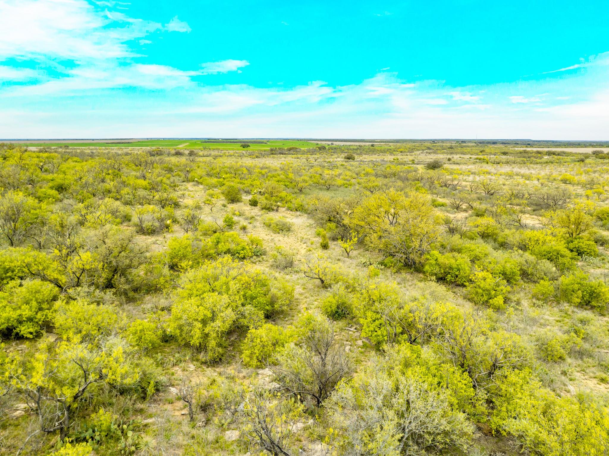 117 Private Road 541 Brady TX 76852