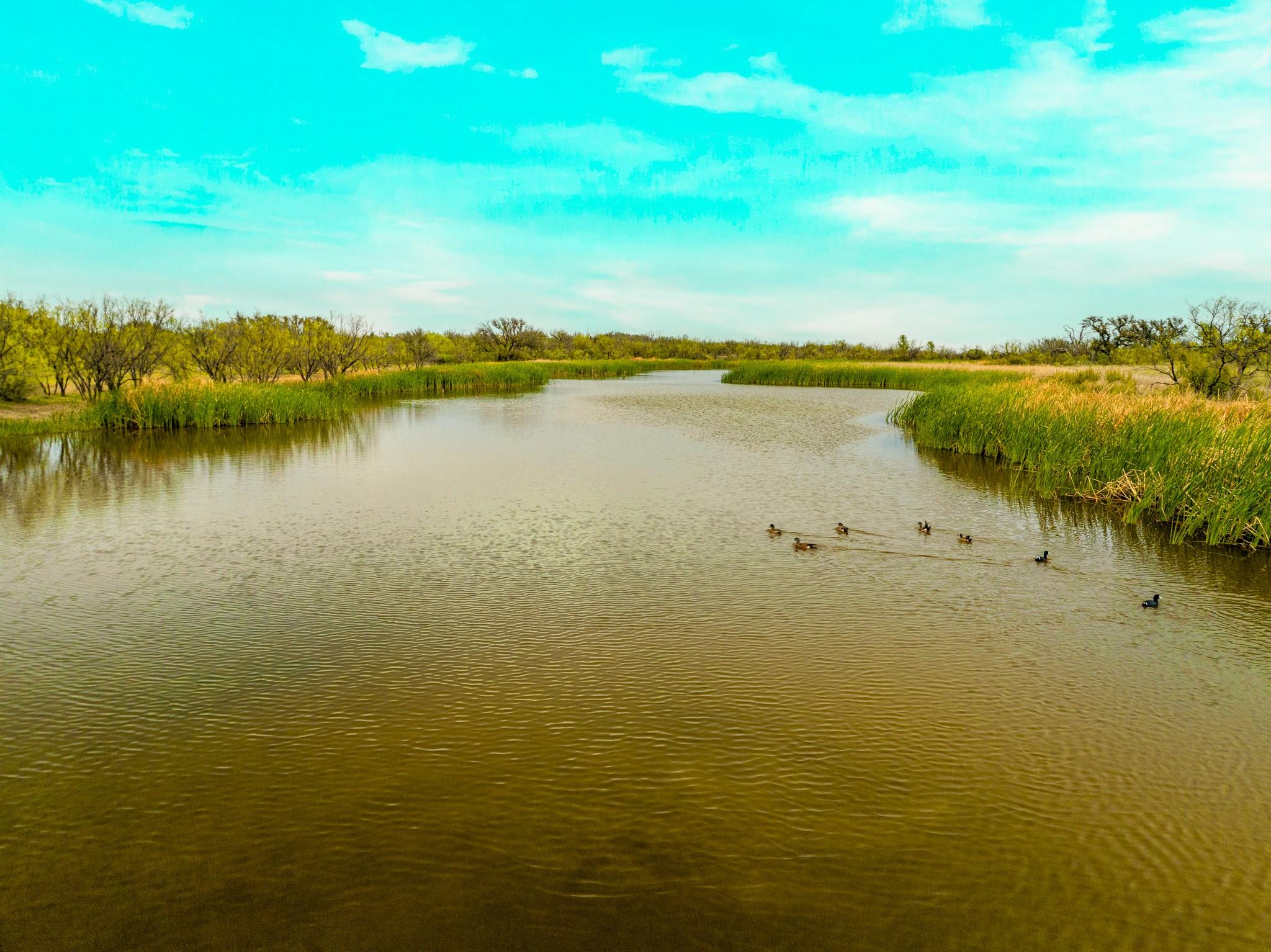 117 Private Road 541 Brady TX 76852
