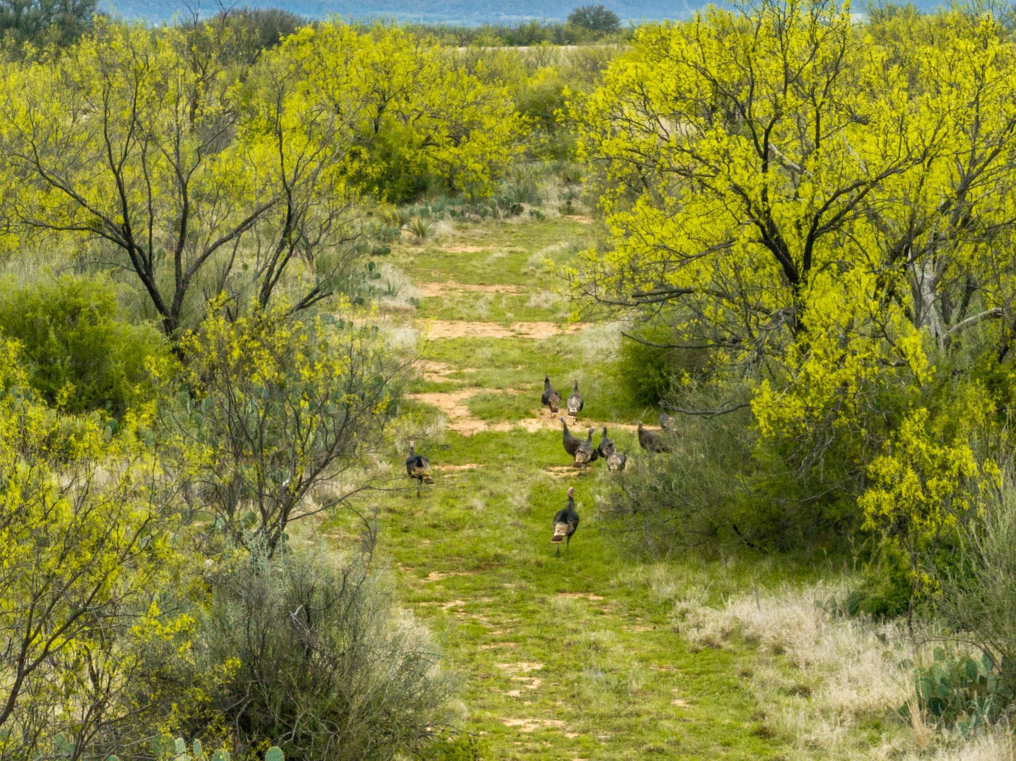 117 Private Road 541 Brady TX 76852