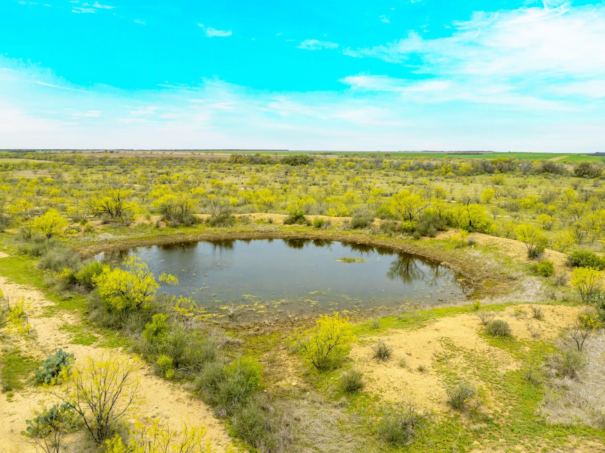 117 Private Road 541 Brady TX 76852