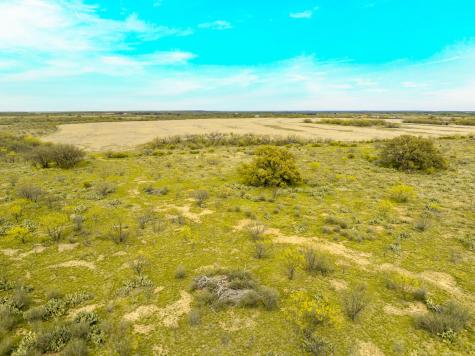 117 Private Road 541 Brady TX 76852