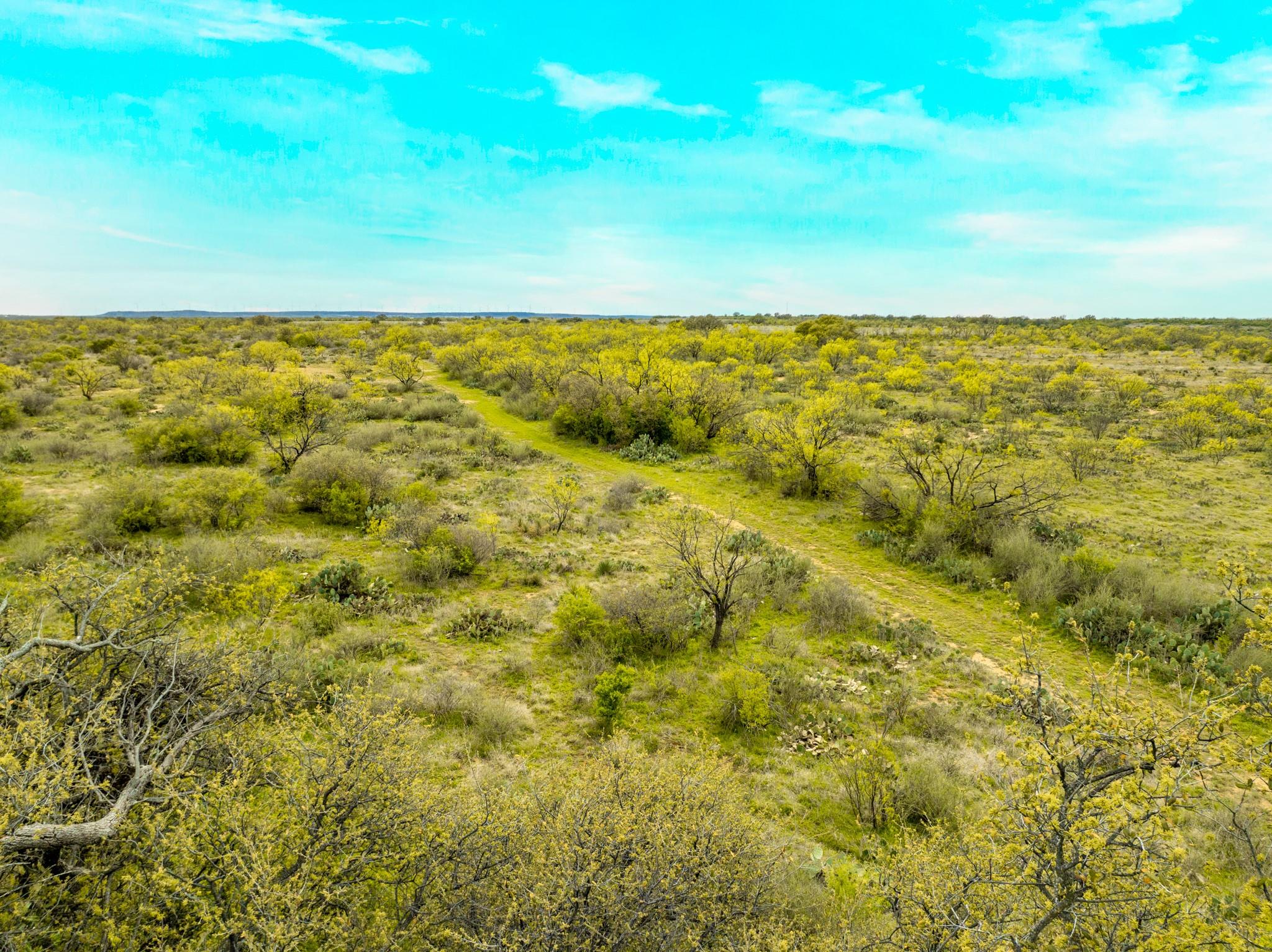117 Private Road 541 Brady TX 76852