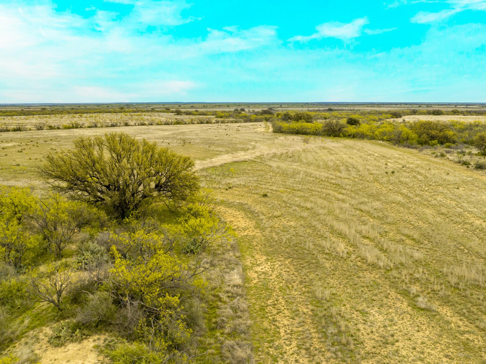 117 Private Road 541 Brady TX 76852