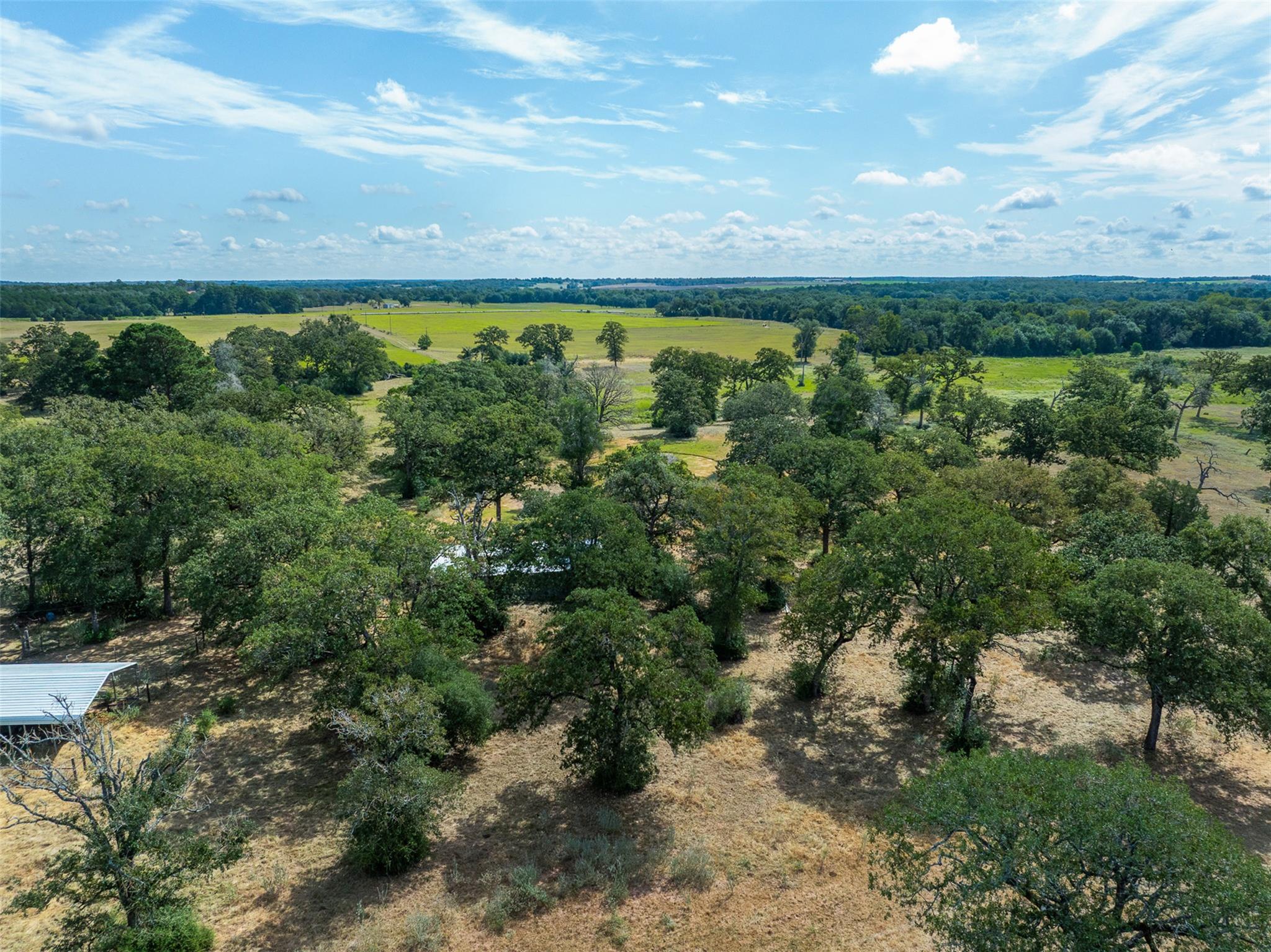 179 Stiewert Lane Paige TX 78659