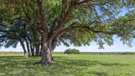 0 County Road 224 Lampasas TX 76550