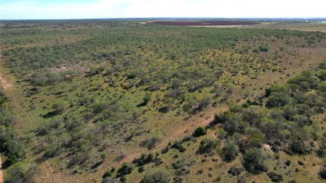 1913 County Road 3000 Pearsall TX 78061