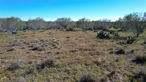 1913 County Road 3000 Pearsall TX 78061