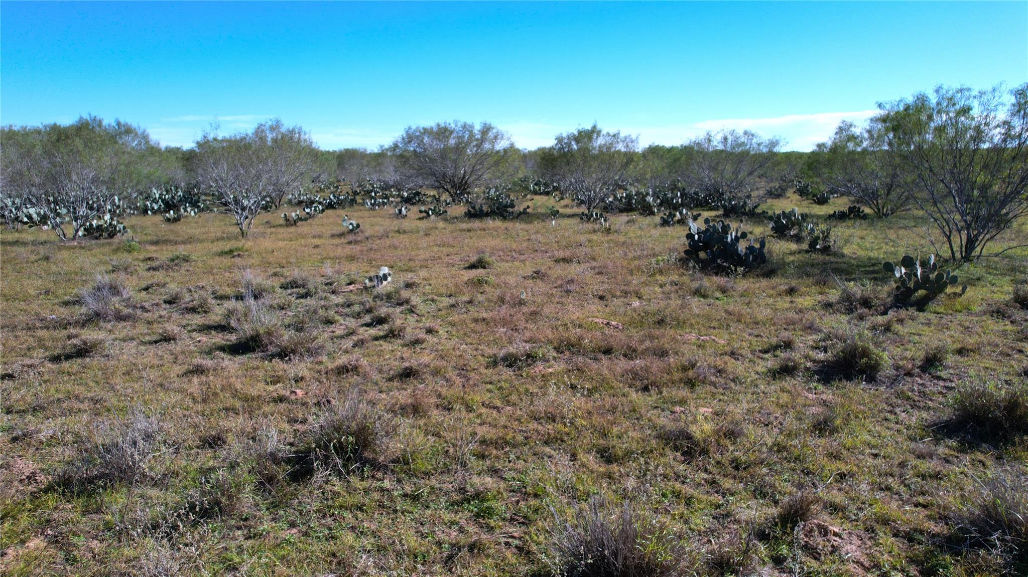 1913 County Road 3000 Pearsall TX 78061