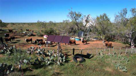 1913 County Road 3000 Pearsall TX 78061