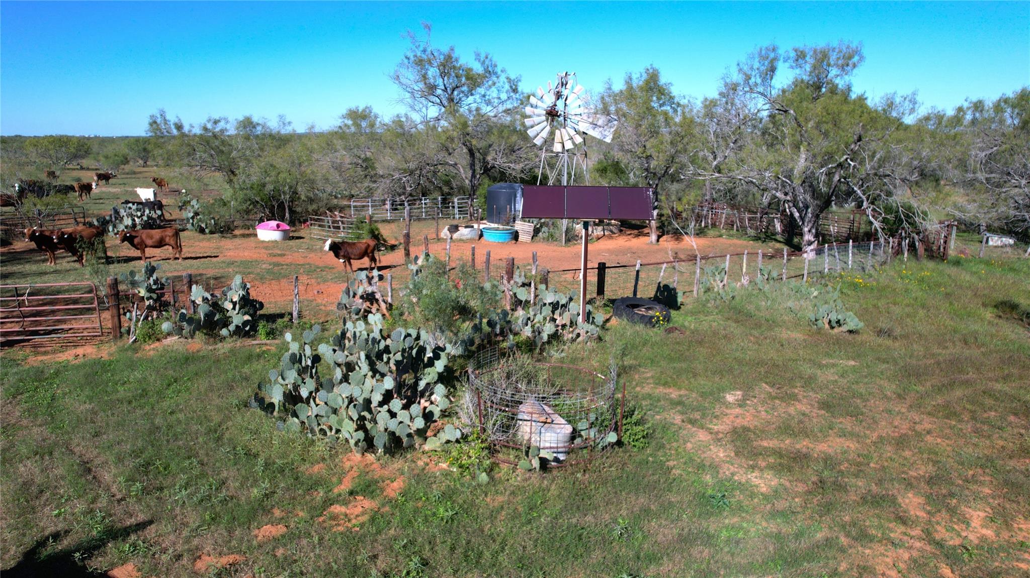 1913 County Road 3000 Pearsall TX 78061