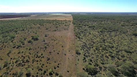 1913 County Road 3000 Pearsall TX 78061