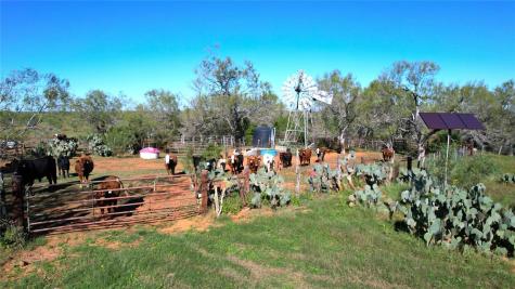 1913 County Road 3000 Pearsall TX 78061