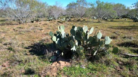 1913 County Road 3000 Pearsall TX 78061
