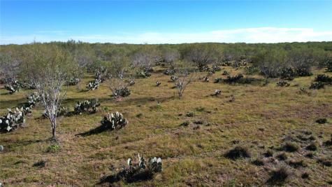 1913 County Road 3000 Pearsall TX 78061