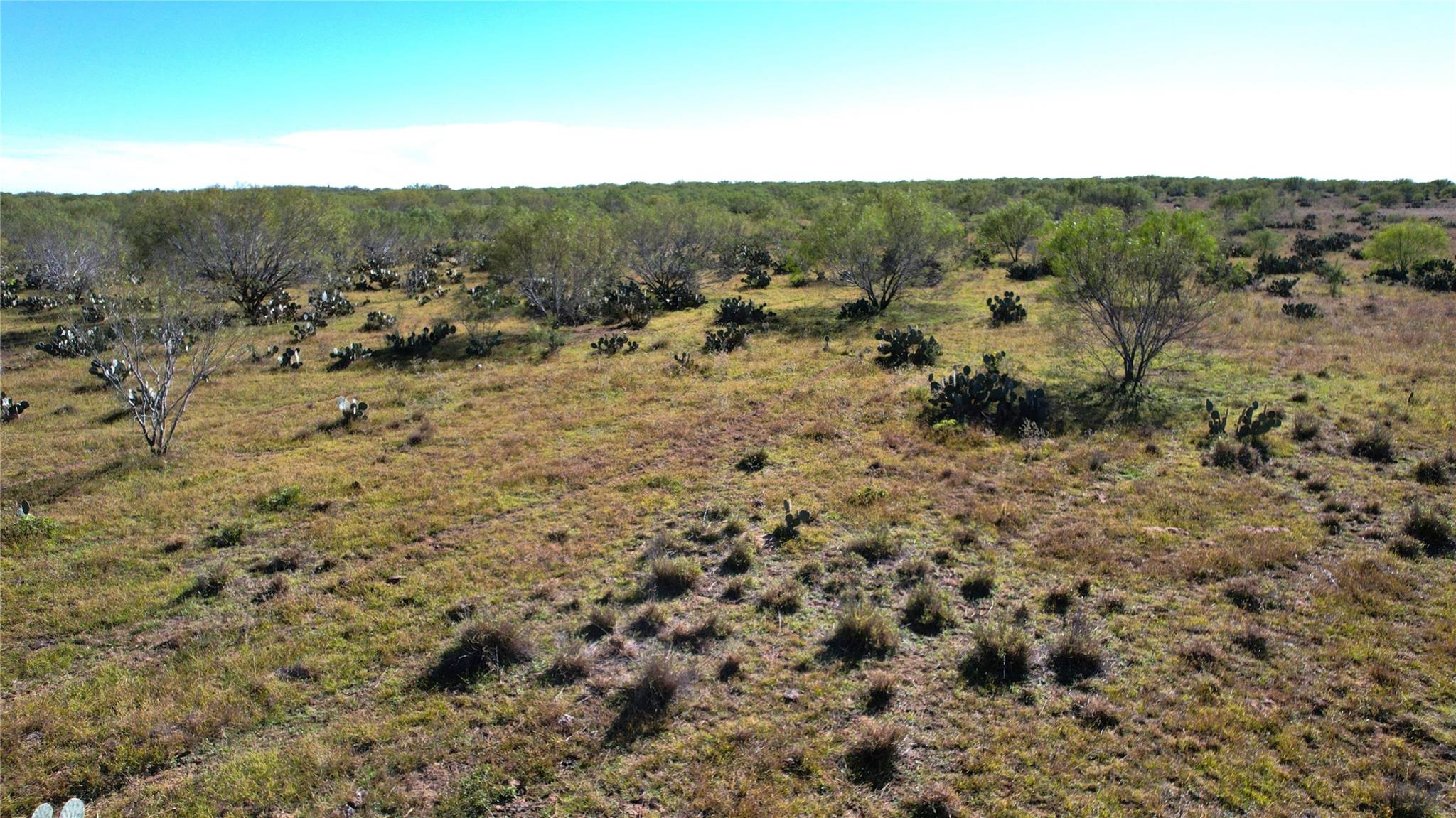 1913 County Road 3000 Pearsall TX 78061