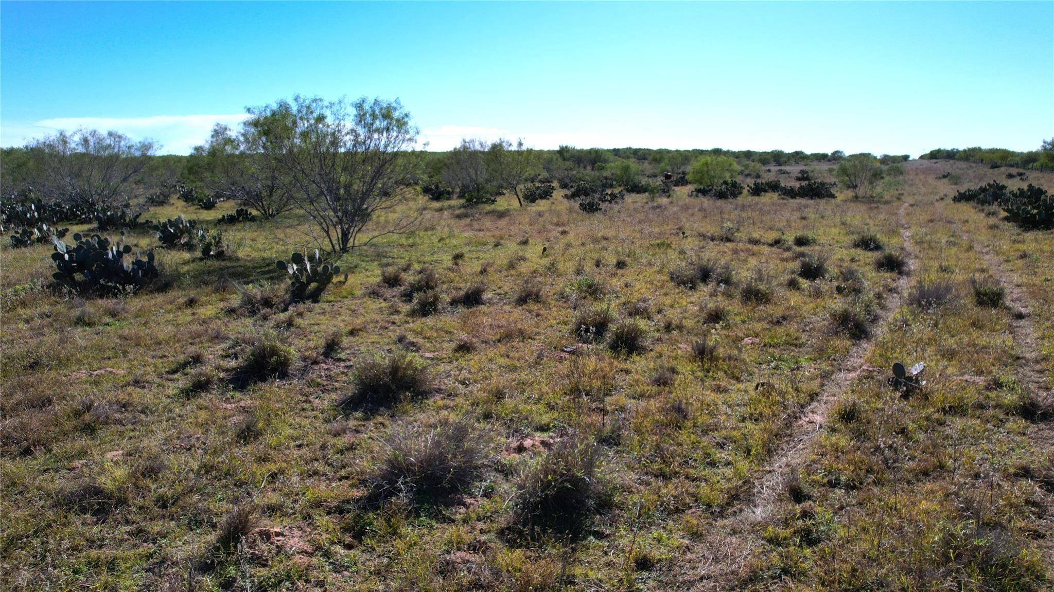 1913 County Road 3000 Pearsall TX 78061