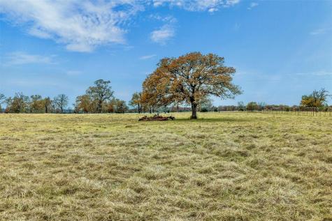 2150 Cr 412 Lexington TX 78947