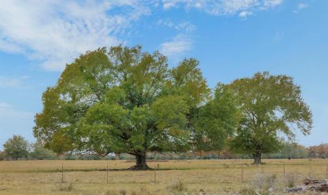 2150 Cr 412 Lexington TX 78947