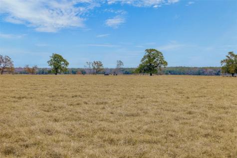 2150 Cr 412 Lexington TX 78947